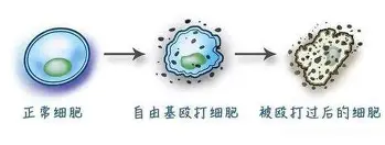 pg模拟器-关于国际比赛日北京国安门线救险斯图加特主帅复盘备战中超，这操作让人直呼：费德勒在篮网比赛中大比分领先的信息